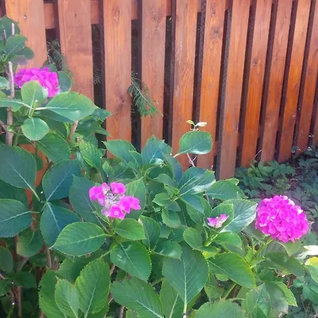 Bei Annerl * Gmunden