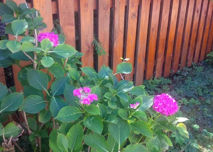 Bei Annerl * غموندين